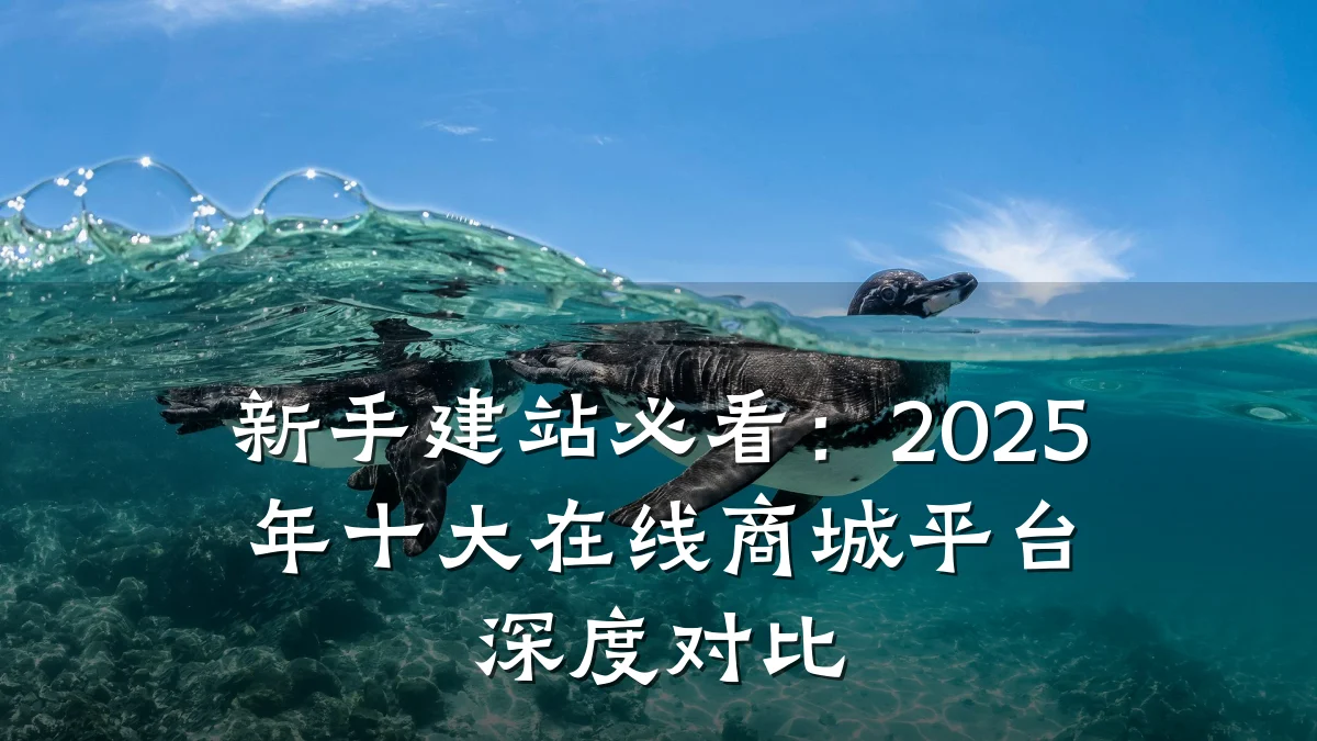新手建站必看:2025年十大在线商城平台深度对比