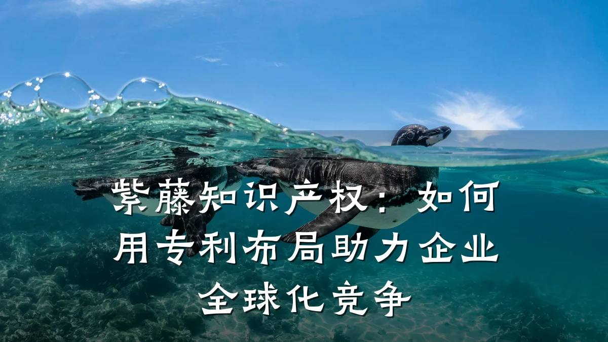 紫藤知识产权:如何用专利布局助力企业全球化竞争