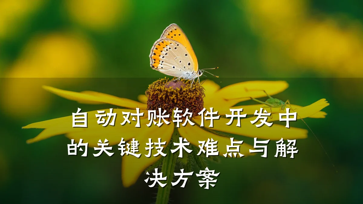 自动对账软件开发中的关键技术难点与解决方案