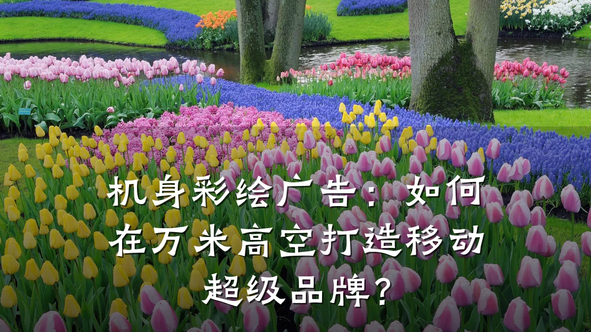 机身彩绘广告:如何在万米高空打造移动超级品牌?