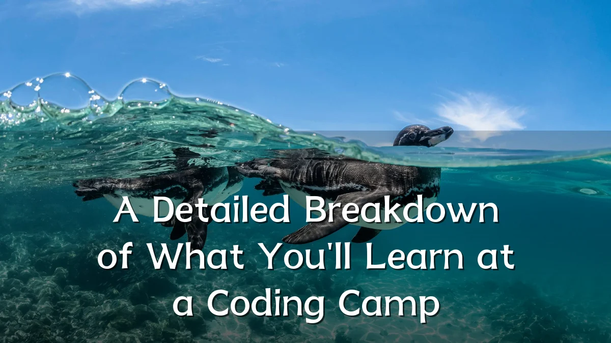 A Detailed Breakdown of What You'll Learn at a Coding Camp