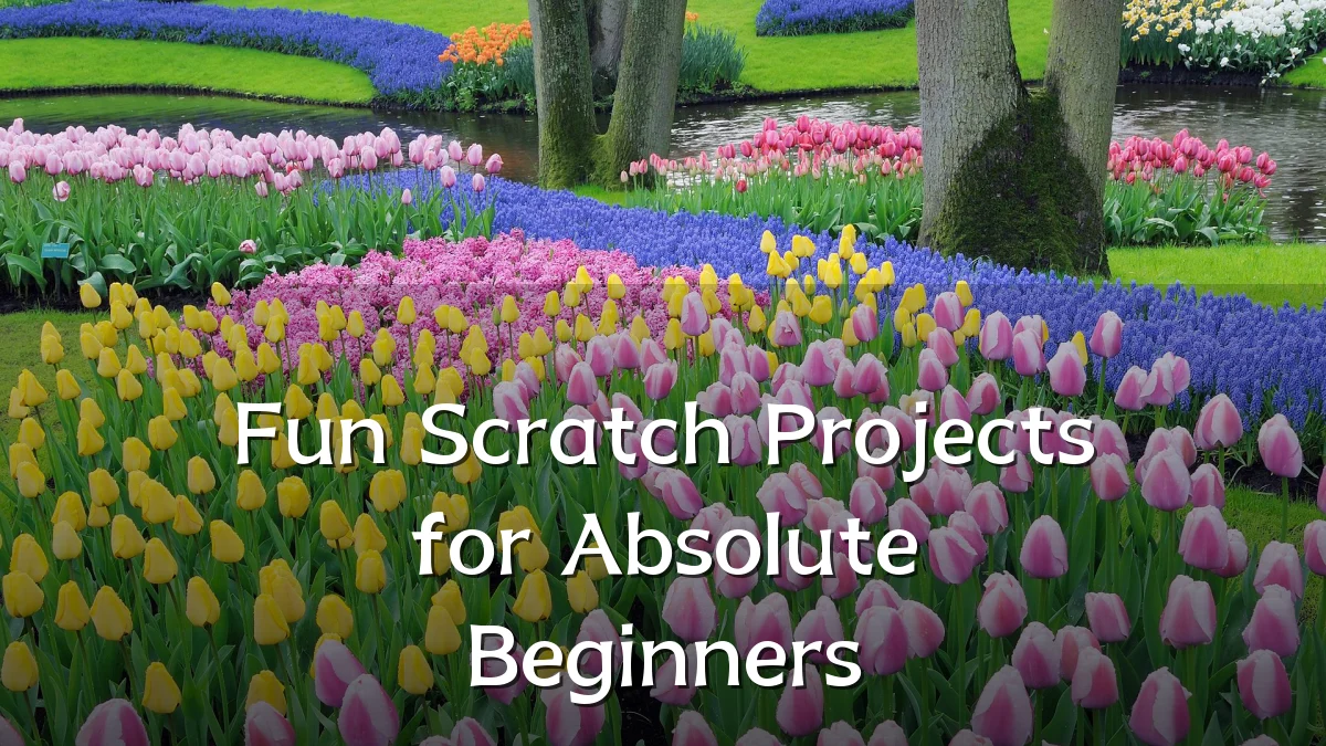 Fun Scratch Projects for Absolute Beginners