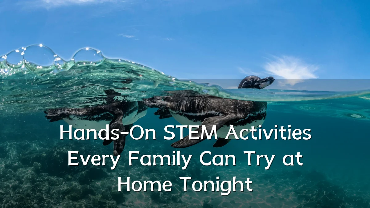 Hands-On STEM Activities Every Family Can Try at Home Tonight
