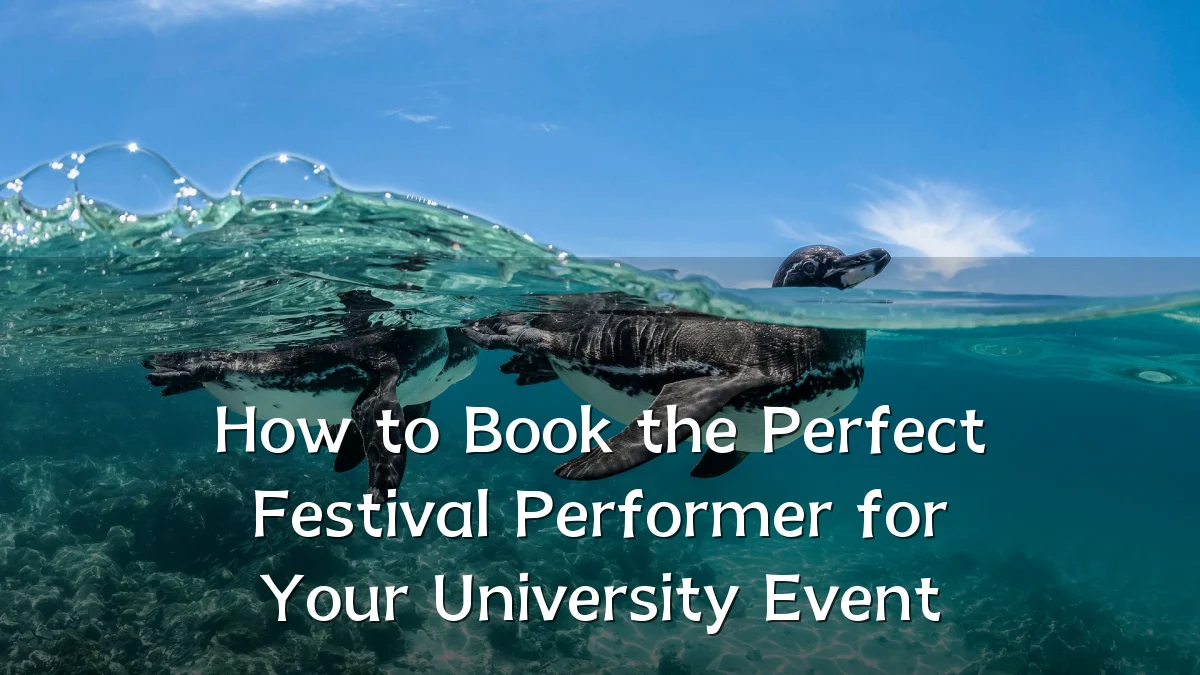 How to Book the Perfect Festival Performer for Your University Event