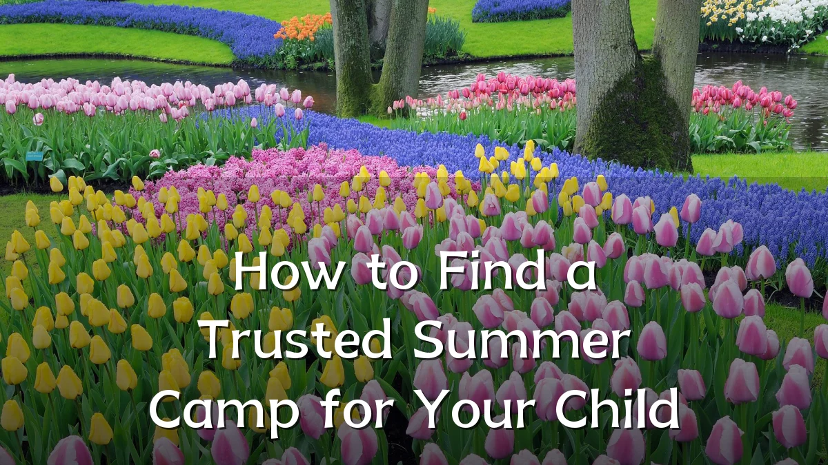 How to Find a Trusted Summer Camp for Your Child