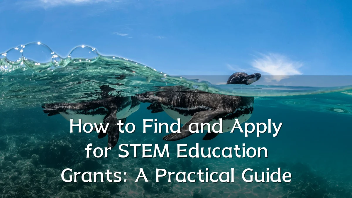 How to Find and Apply for STEM Education Grants: A Practical Guide