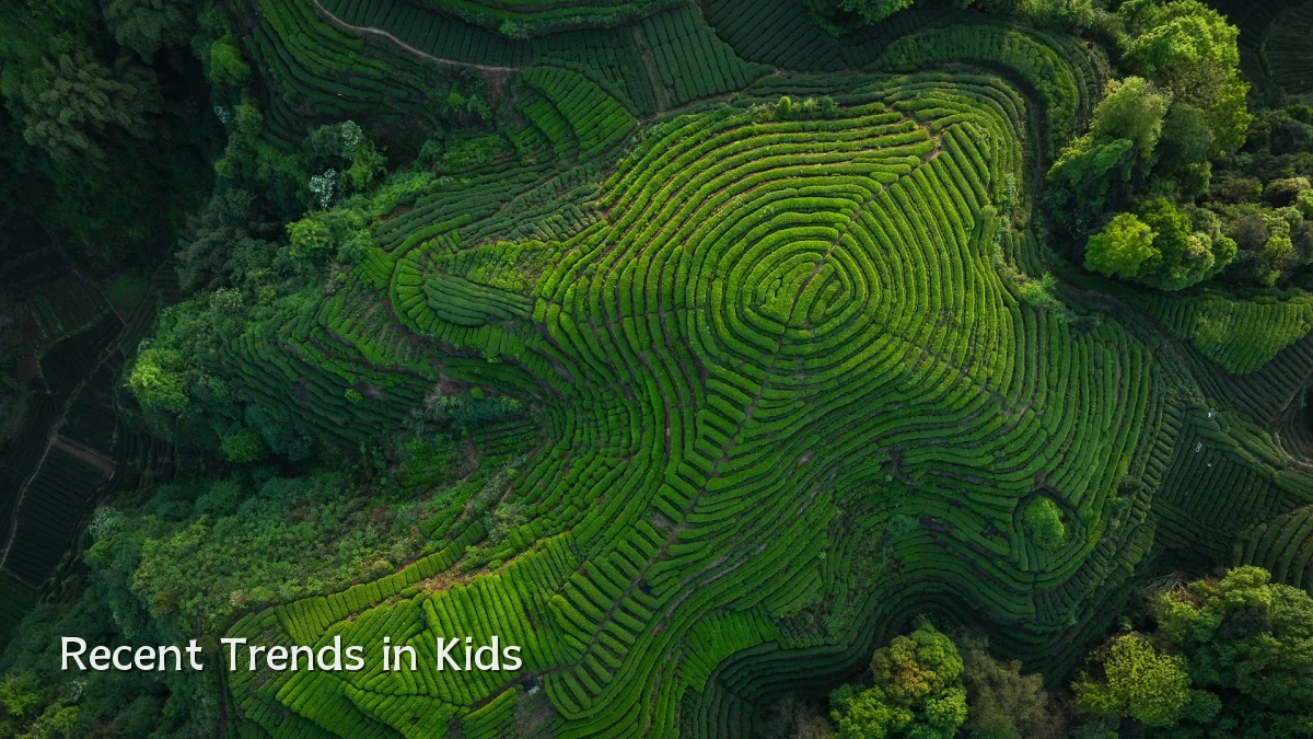 Recent Trends in Kids