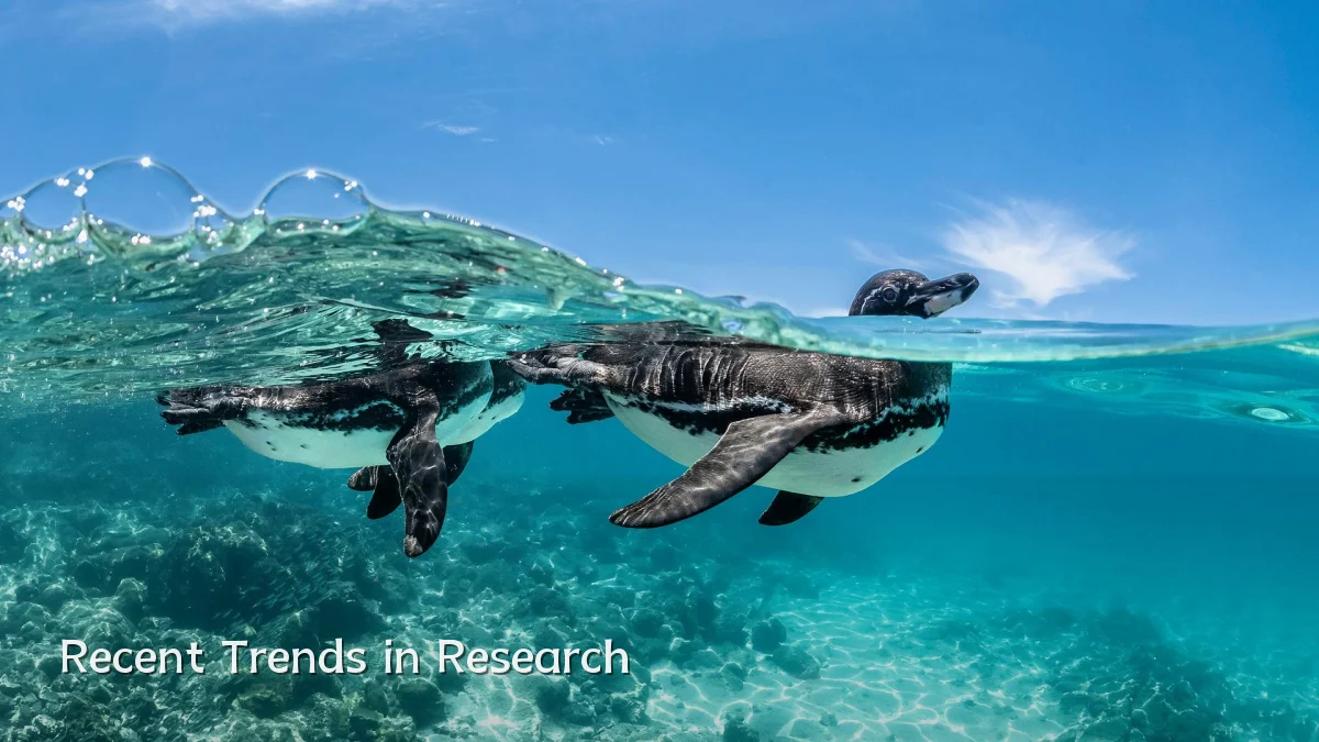 Recent Trends in Research