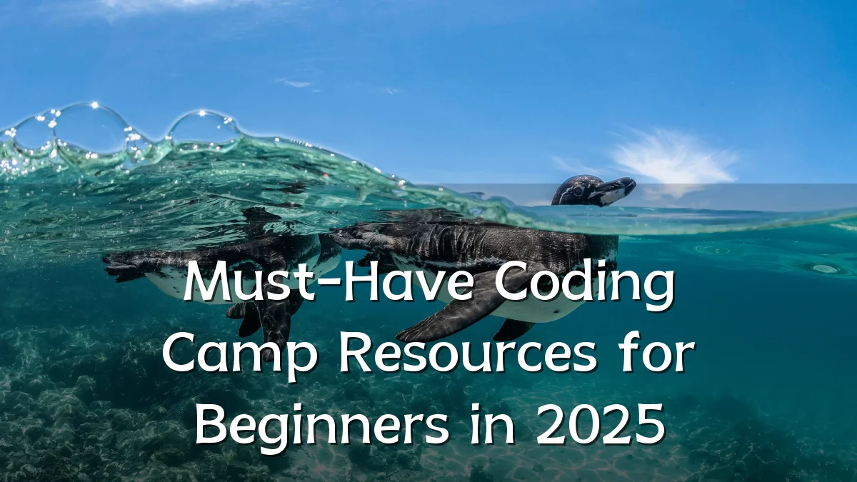 Must-Have Coding Camp Resources for Beginners in 2025