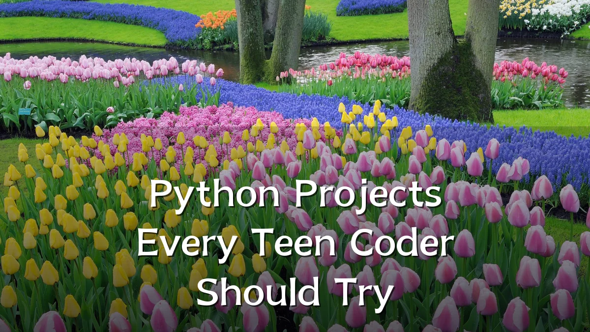 Python Projects Every Teen Coder Should Try