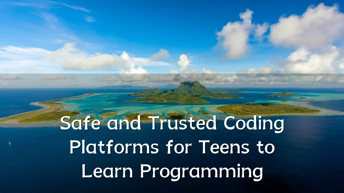 Safe and Trusted Coding Platforms for Teens to Learn Programming