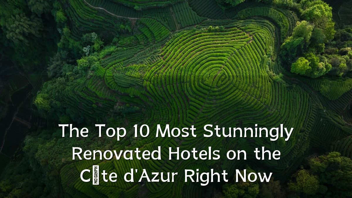 The Top 10 Most Stunningly Renovated Hotels on the Côte d'Azur Right Now
