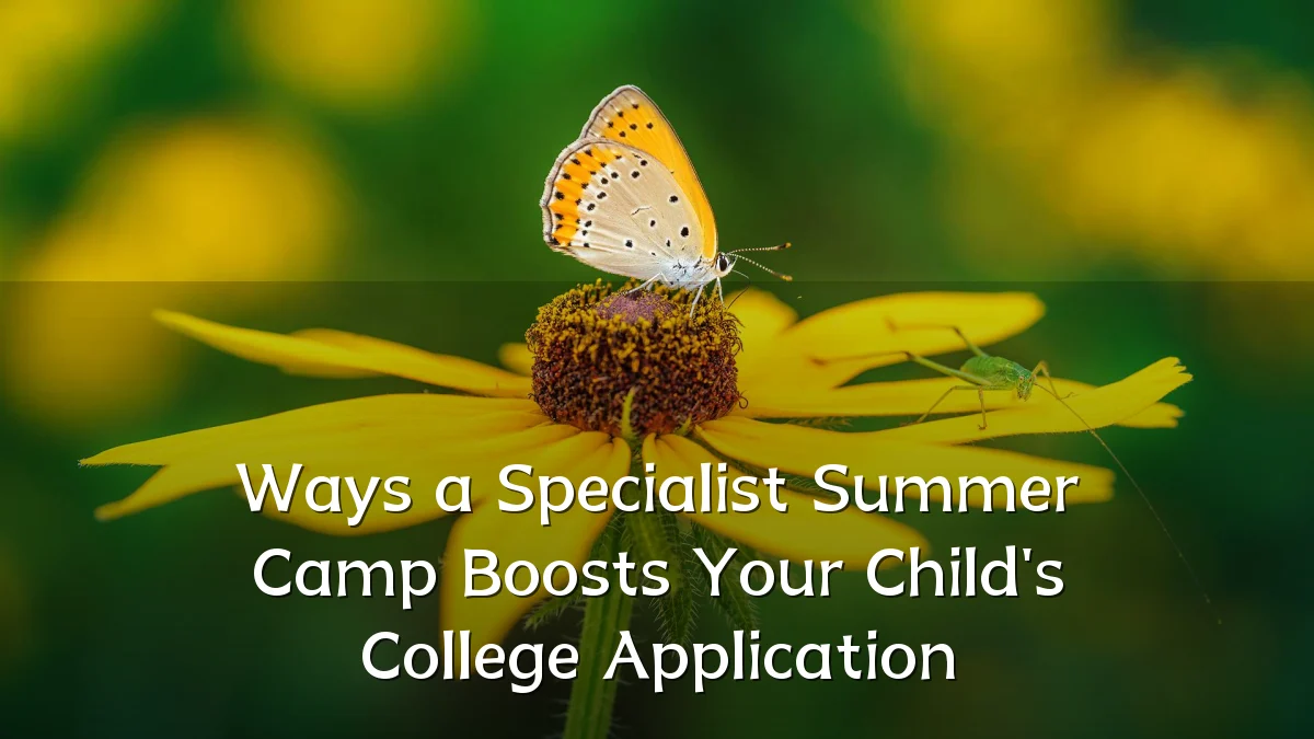 Ways a Specialist Summer Camp Boosts Your Child's College Application