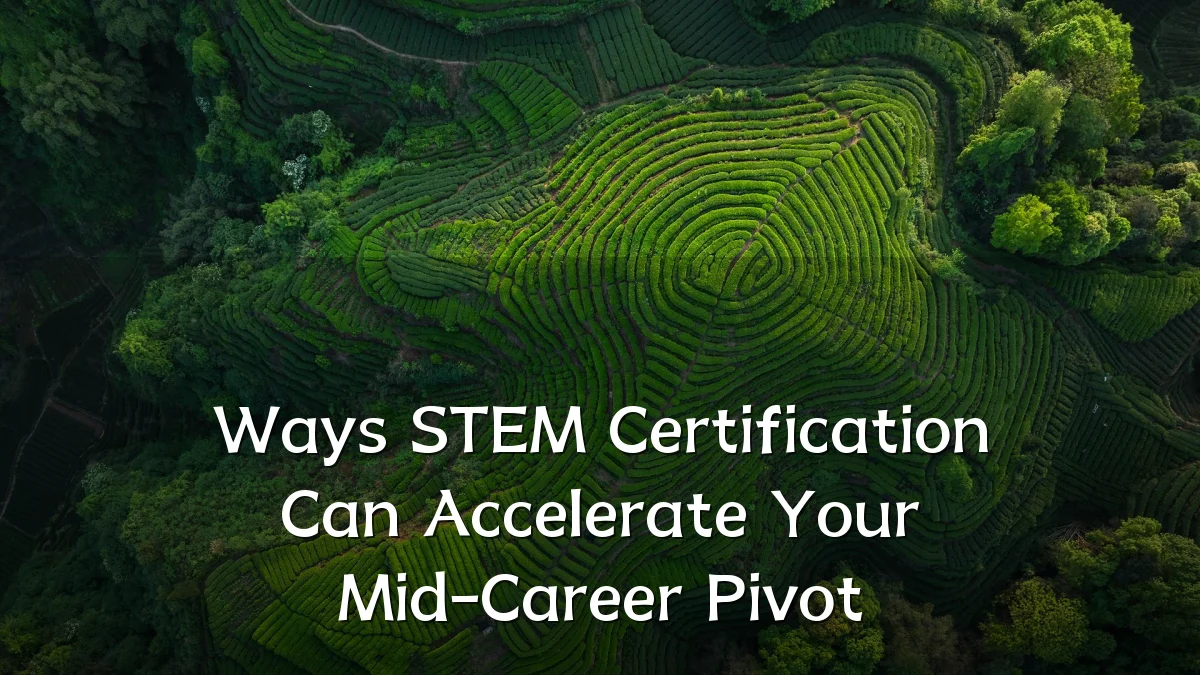 Ways STEM Certification Can Accelerate Your Mid-Career Pivot