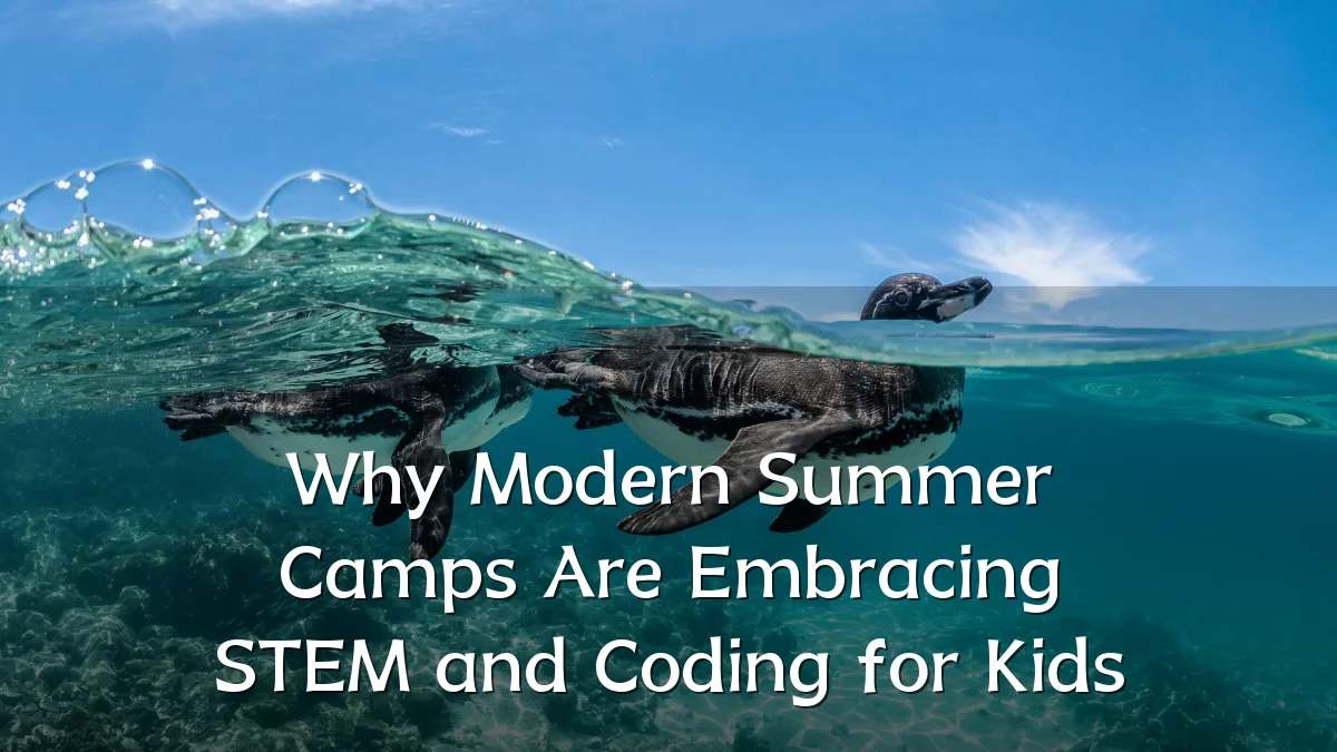 Why Modern Summer Camps Are Embracing STEM and Coding for Kids