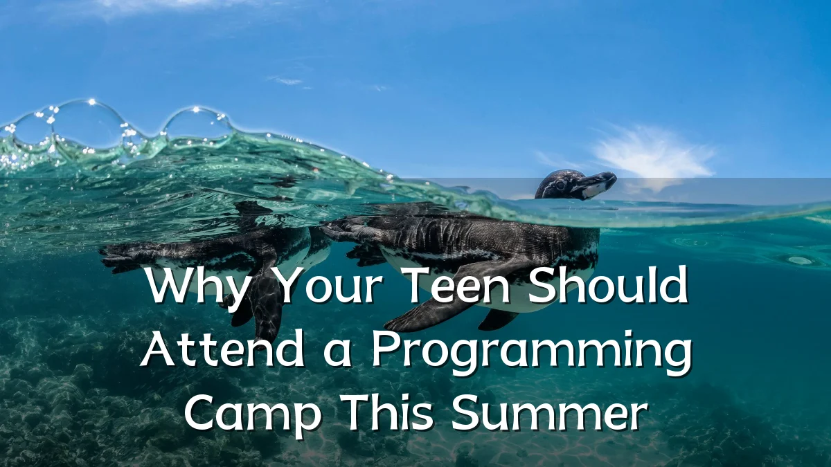 Why Your Teen Should Attend a Programming Camp This Summer