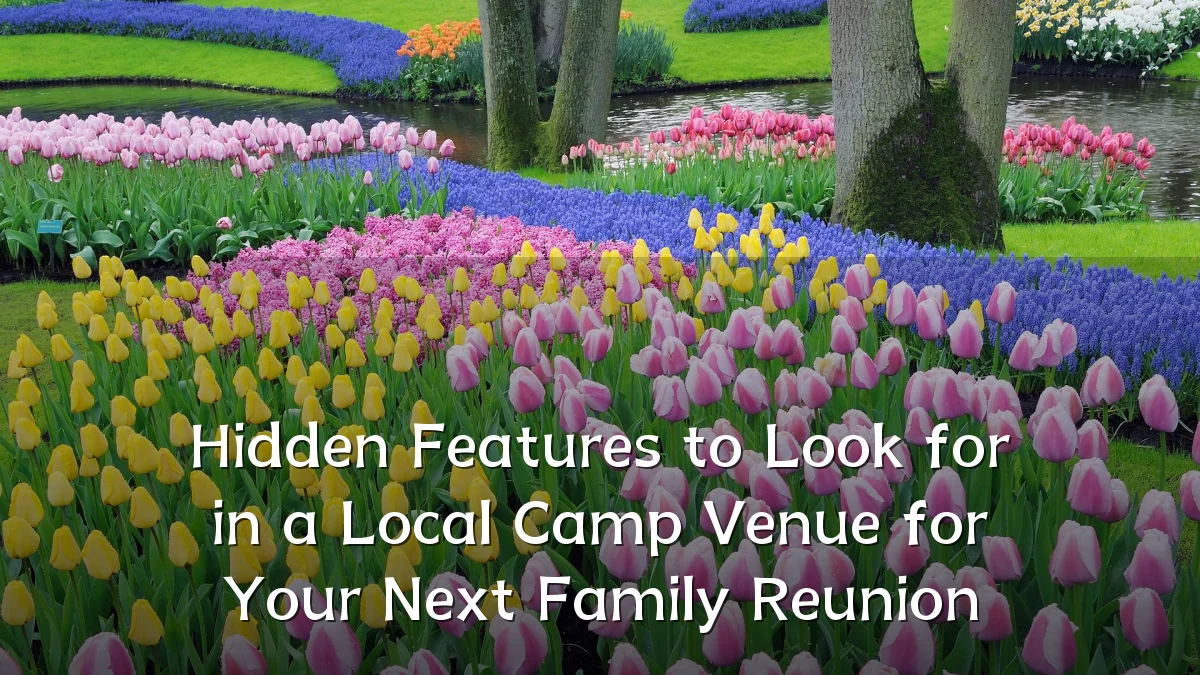 Hidden Features to Look for in a Local Camp Venue for Your Next Family Reunion