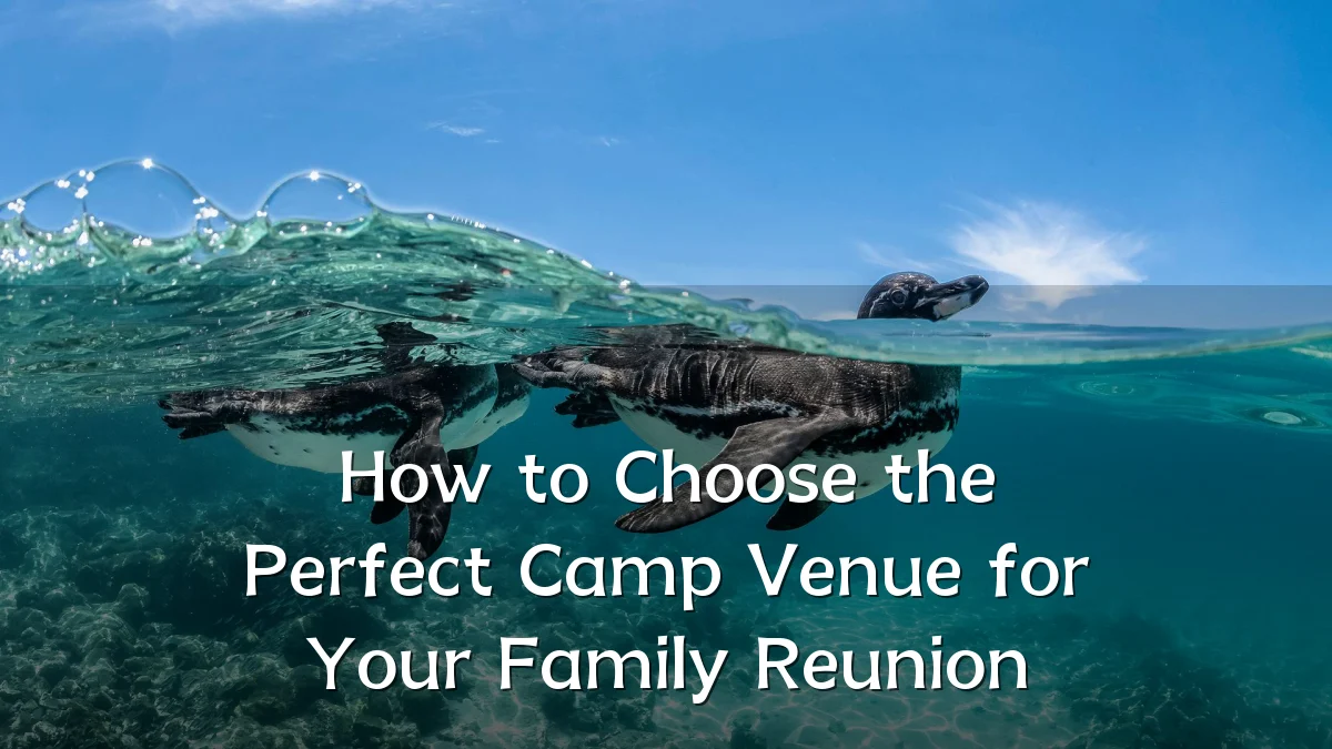 How to Choose the Perfect Camp Venue for Your Family Reunion
