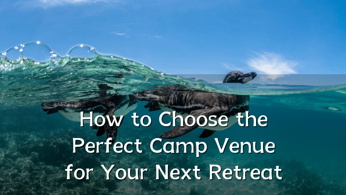 How to Choose the Perfect Camp Venue for Your Next Retreat
