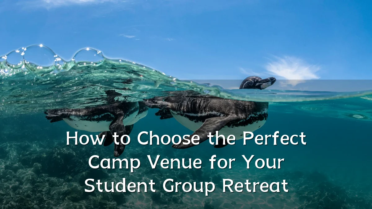 How to Choose the Perfect Camp Venue for Your Student Group Retreat