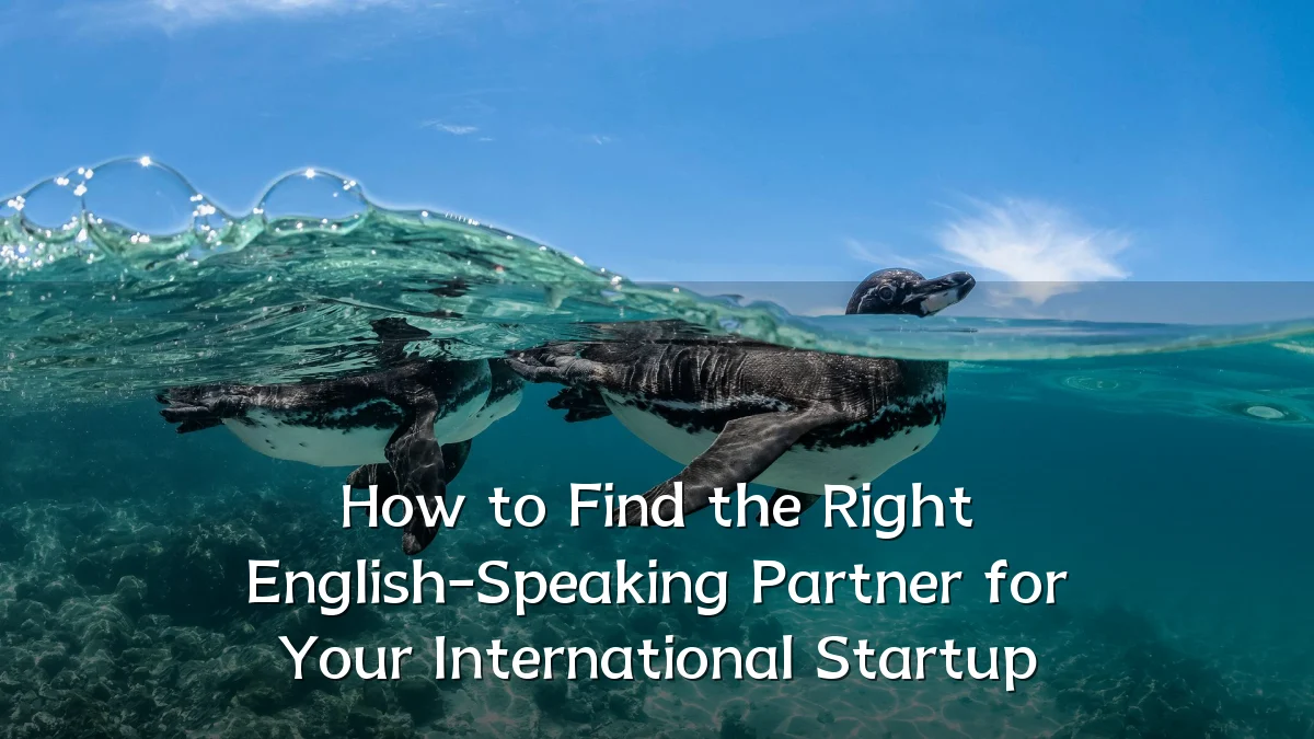 How to Find the Right English-Speaking Partner for Your International Startup