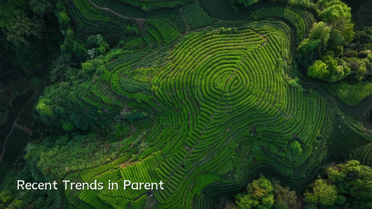 Recent Trends in Parent