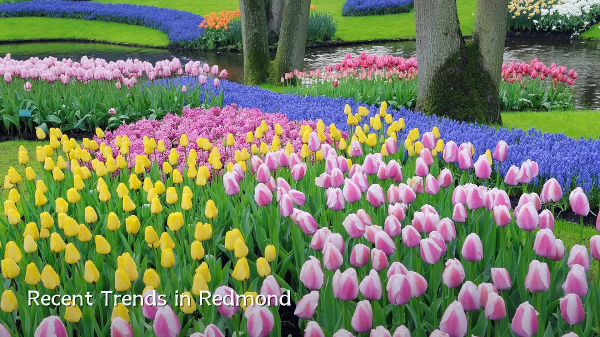 Recent Trends in Redmond