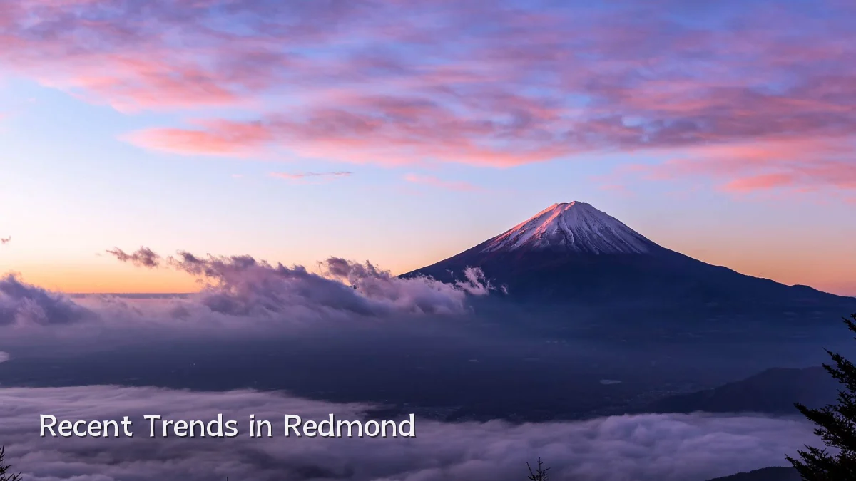 Recent Trends in Redmond