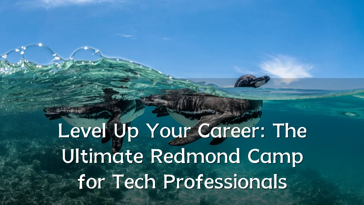 Level Up Your Career: The Ultimate Redmond Camp for Tech Professionals