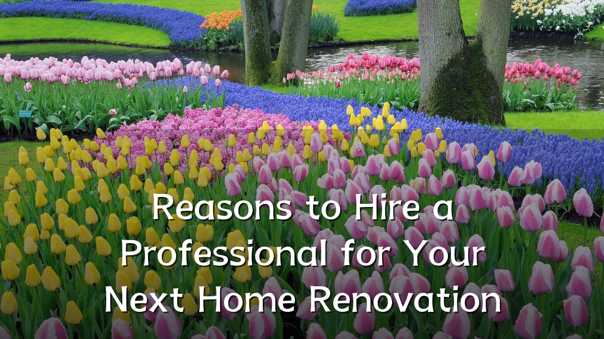Reasons to Hire a Professional for Your Next Home Renovation