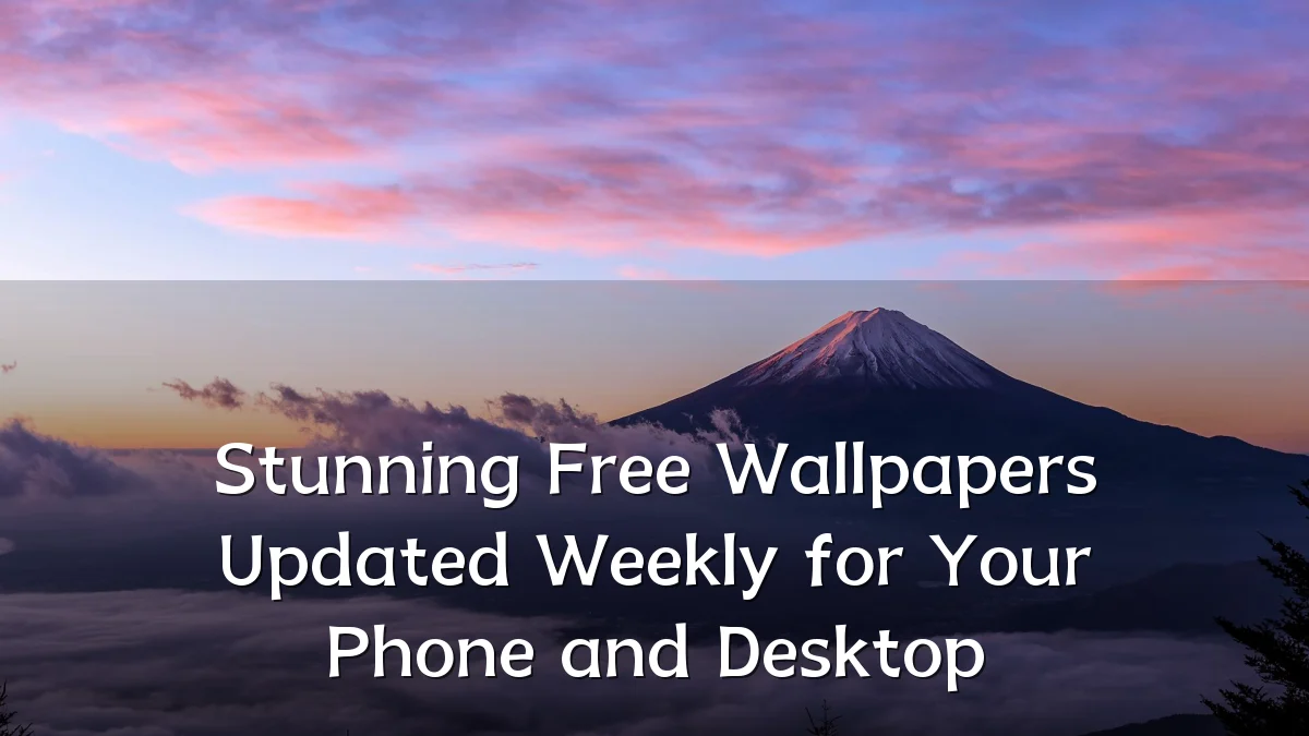 Stunning Free Wallpapers Updated Weekly for Your Phone and Desktop
