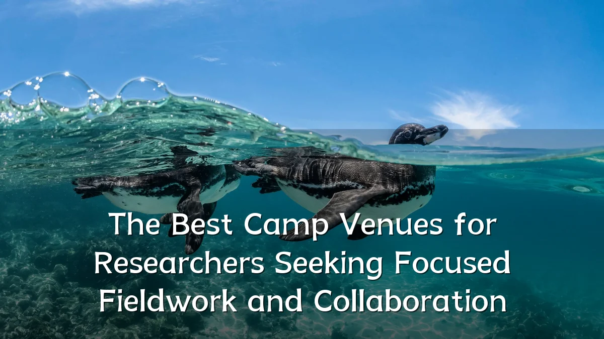 The Best Camp Venues for Researchers Seeking Focused Fieldwork and Collaboration