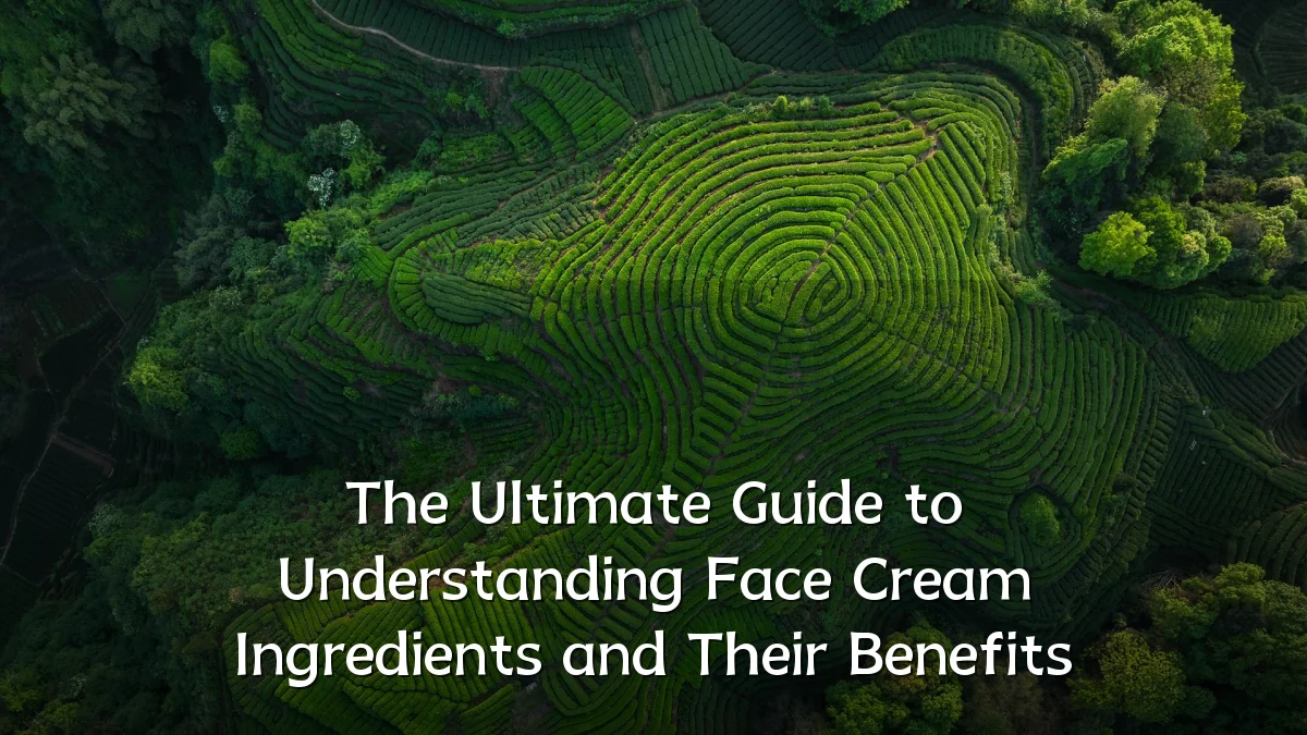 The Ultimate Guide to Understanding Face Cream Ingredients and Their Benefits