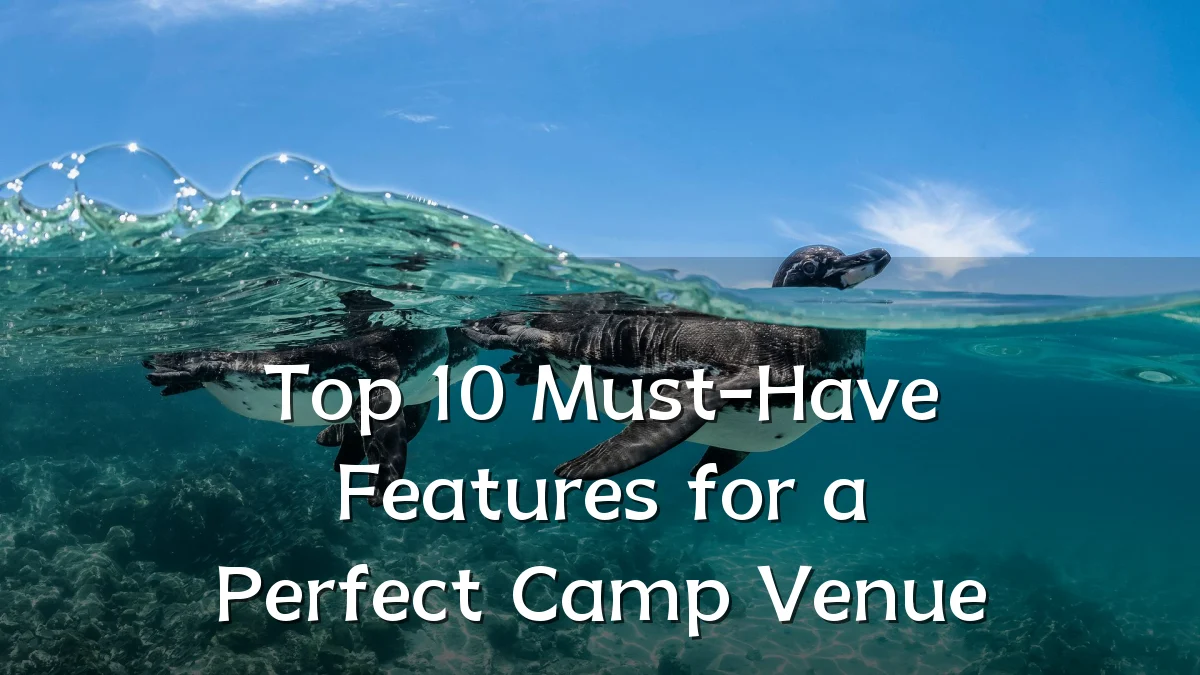 Top 10 Must-Have Features for a Perfect Camp Venue