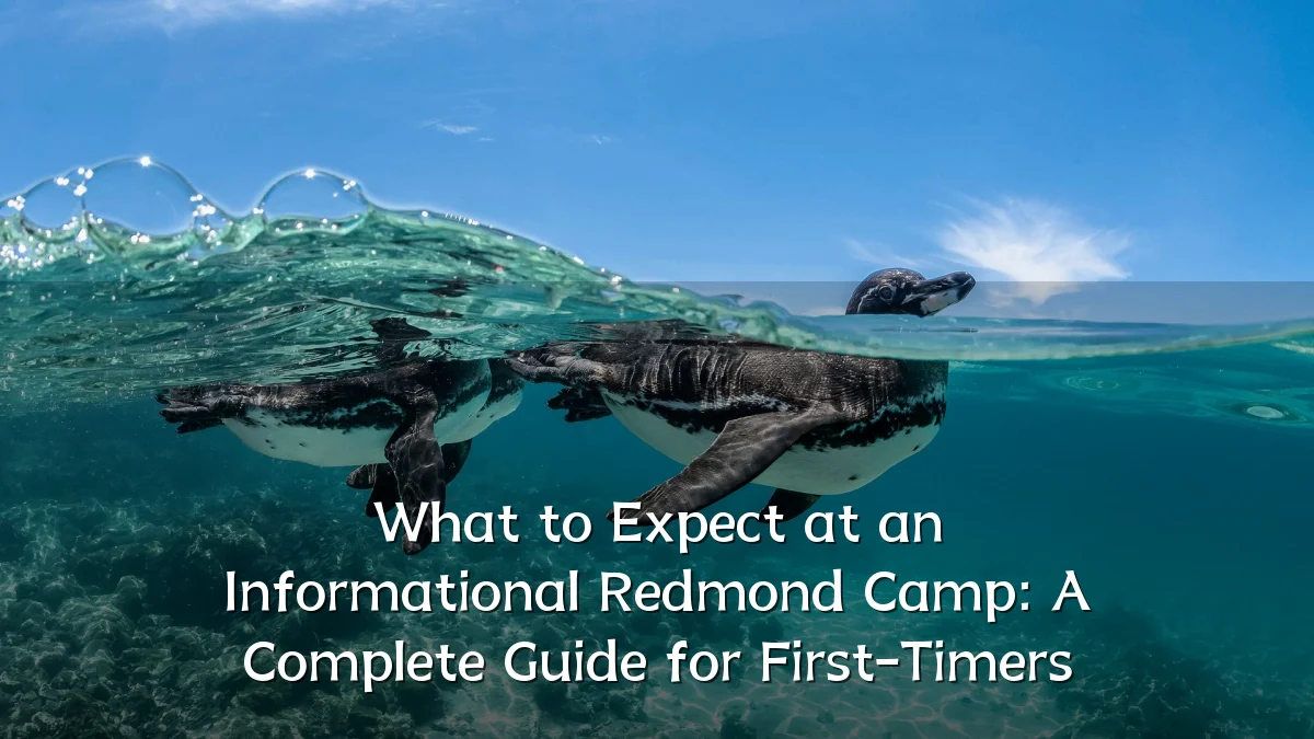 What to Expect at an Informational Redmond Camp: A Complete Guide for First-Timers
