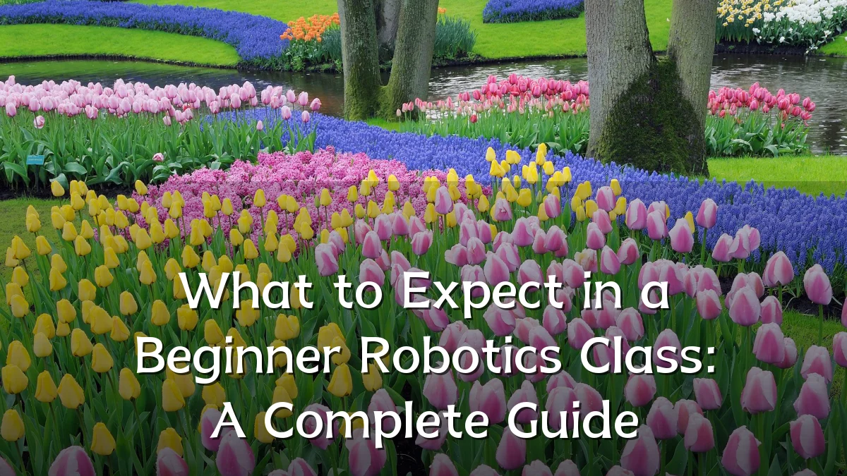 What to Expect in a Beginner Robotics Class: A Complete Guide