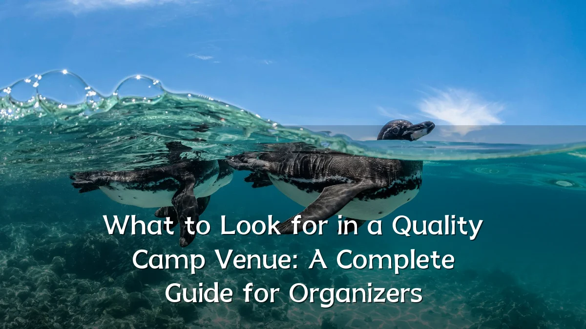 What to Look for in a Quality Camp Venue: A Complete Guide for Organizers