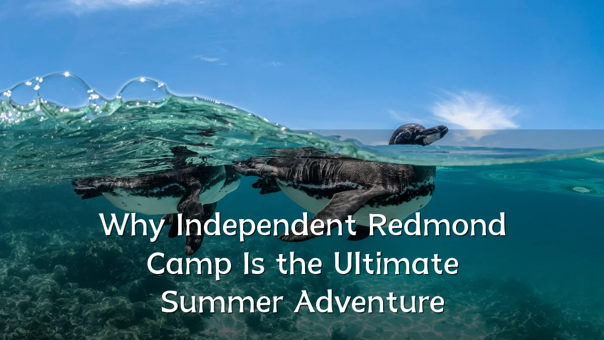 Why Independent Redmond Camp Is the Ultimate Summer Adventure