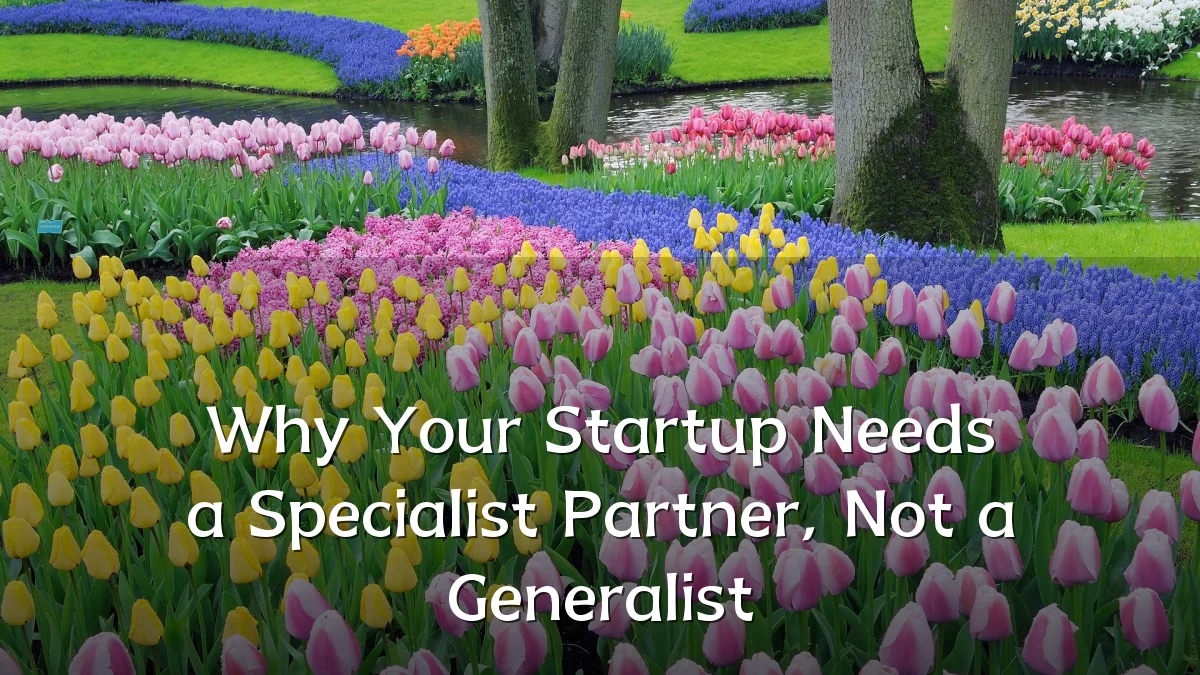 Why Your Startup Needs a Specialist Partner, Not a Generalist