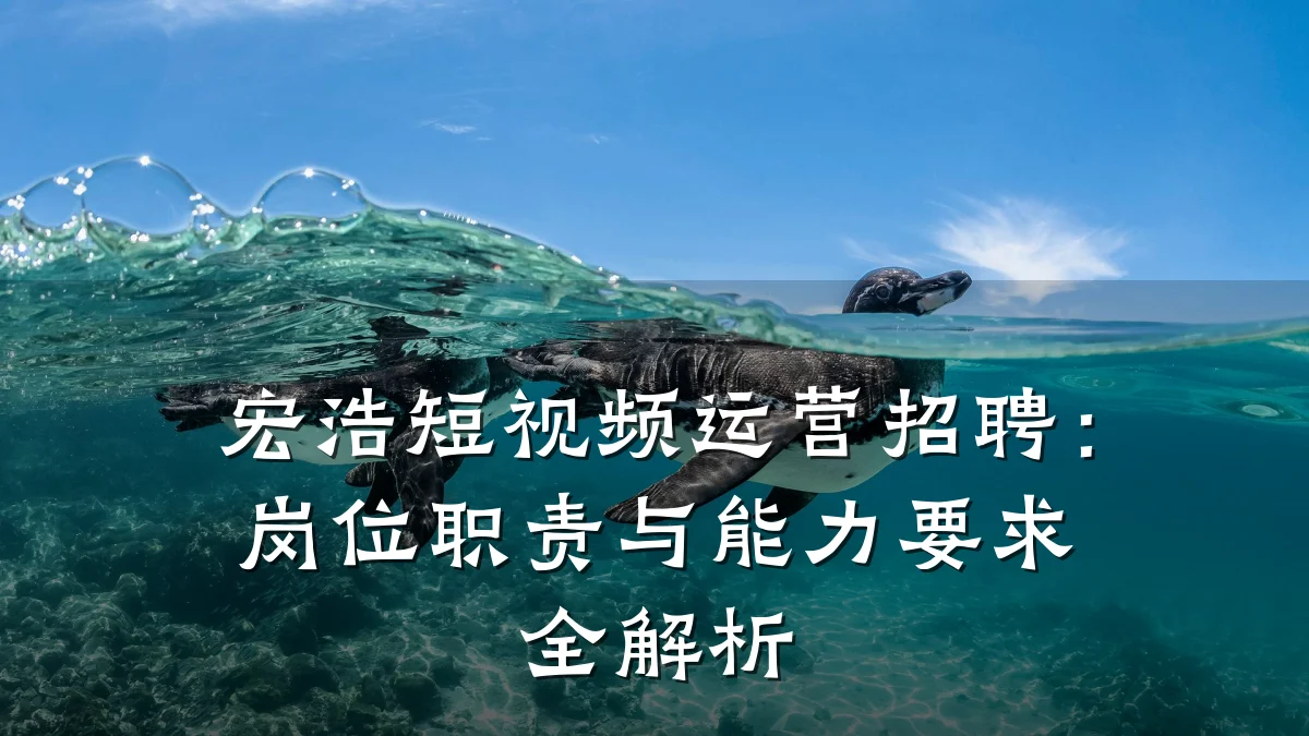 宏浩短视频运营招聘:岗位职责与能力要求全解析