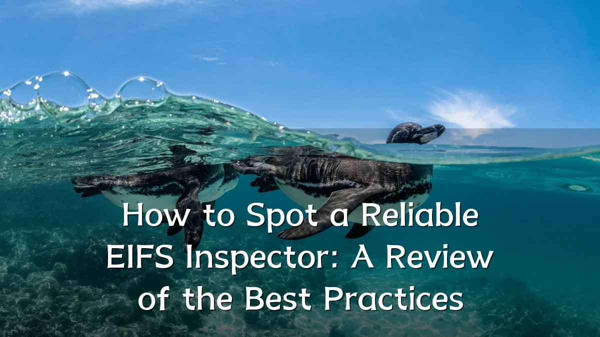 How to Spot a Reliable EIFS Inspector: A Review of the Best Practices