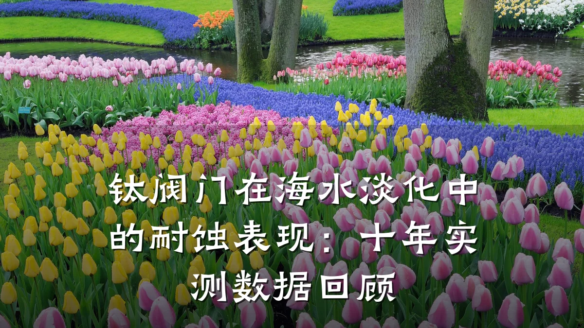 钛阀门在海水淡化中的耐蚀表现:十年实测数据回顾